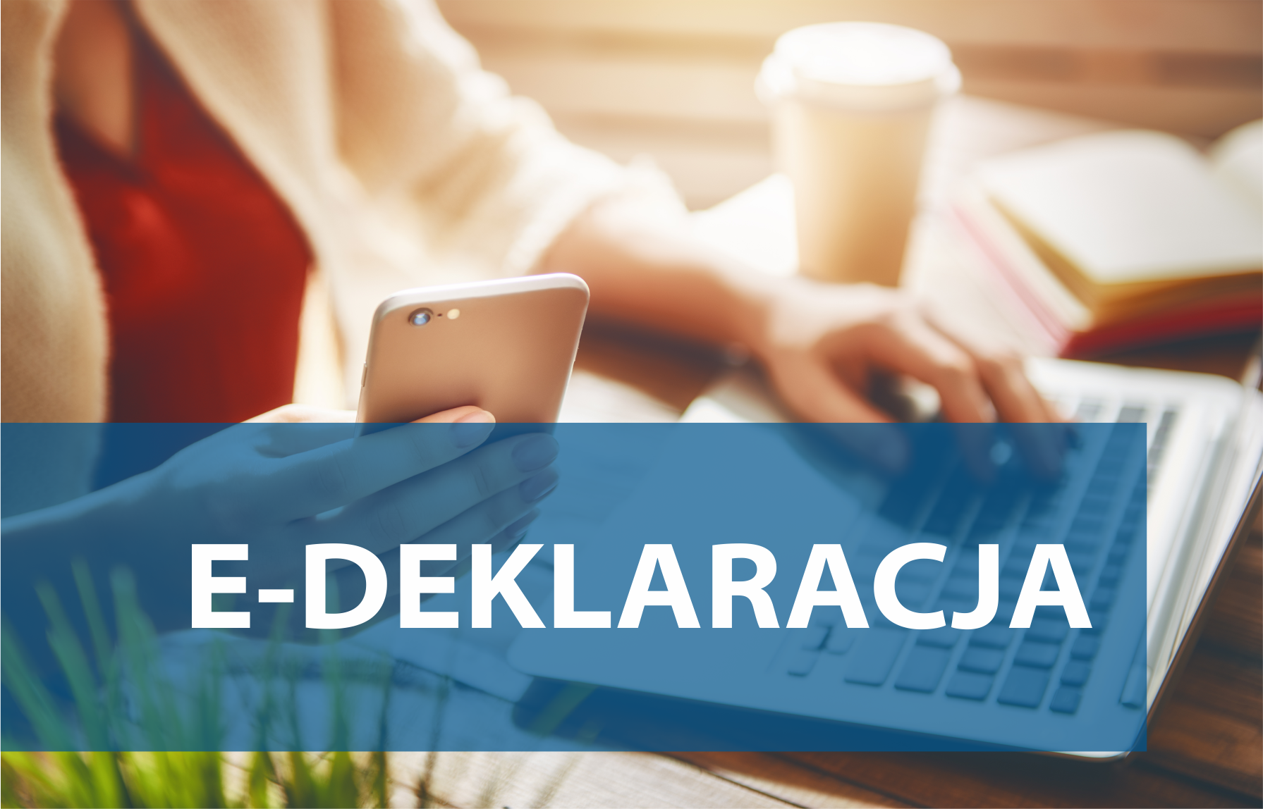 e-deklaracja_EM